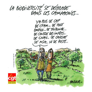 Dessin « Biodiversité dans les campagnes »