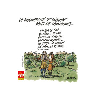 Flyer 6 « Renforcez la CGT Finances Publiques »